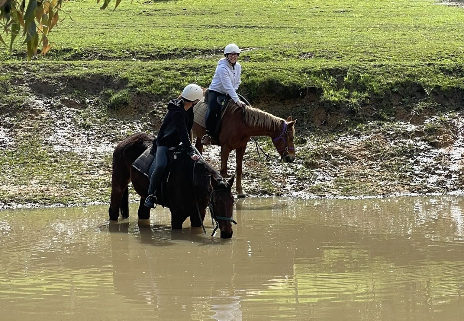 Hunter Valley Horseriding @ The Coalface