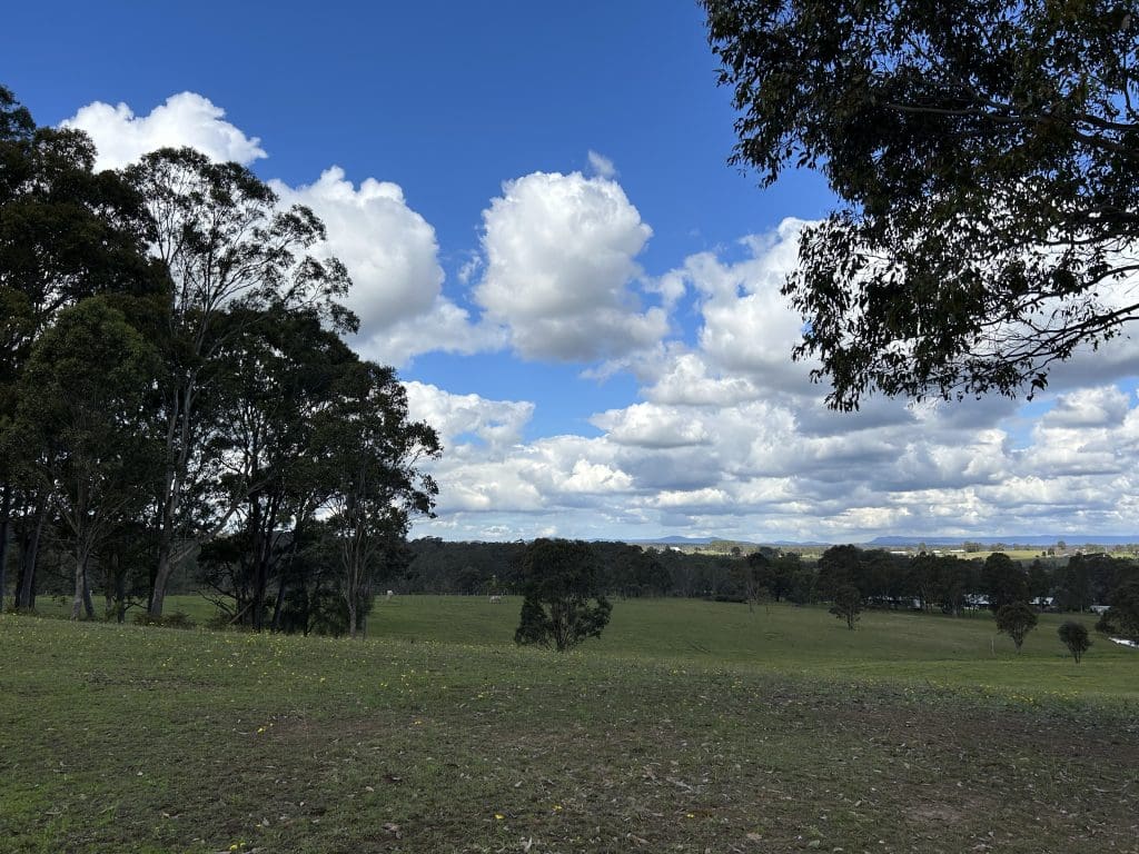 Hunter Valley Horseriding @ The Coalface